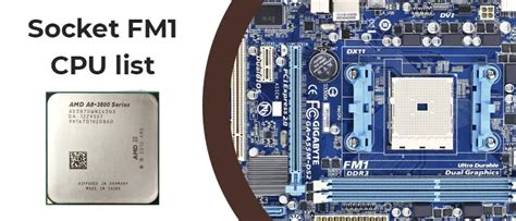FM1 CPU list, specifications and best CPUs .